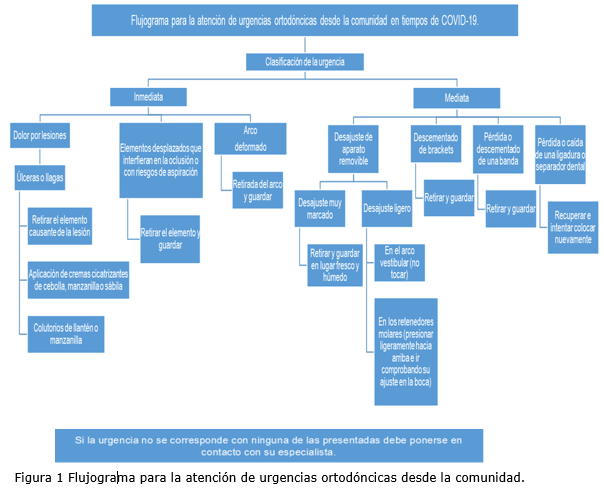 Figura 1